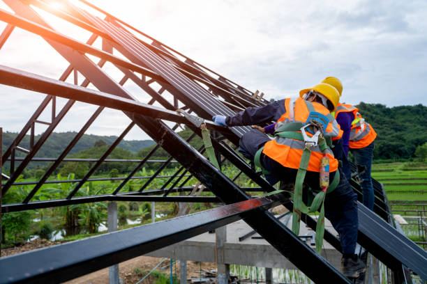 Best Storm Damage Roof Repair  in Gorevle, IL