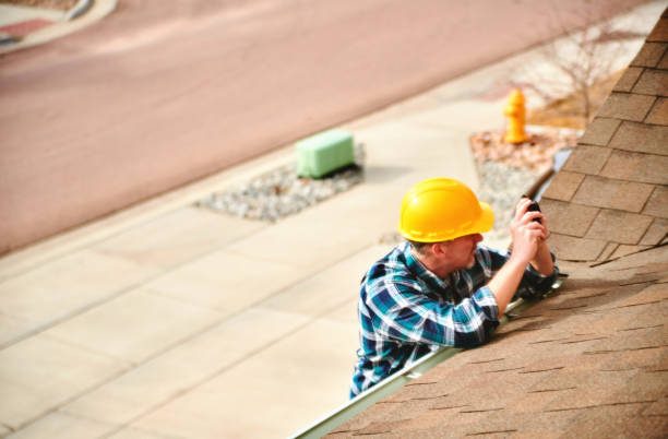 Best Roof Repair Specialists  in Gorevle, IL