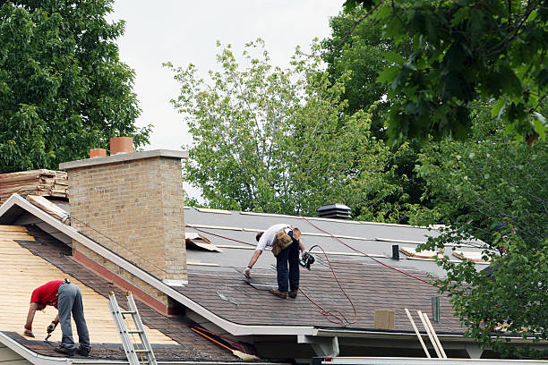 Best Roof Repair Services  in Gorevle, IL