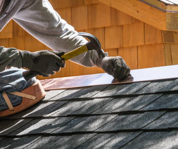Best Roof Gutter Cleaning  in Gorevle, IL